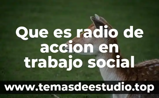 Que es medidas y datos que contiene ficha de trabajo 4 Que es radio de accion en trabajo social