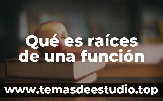 Qué es el humor vítreo función 3 Qué es raíces de una función