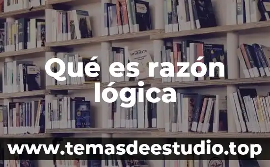 Que es razon social en una factura 8 Qué es razón lógica