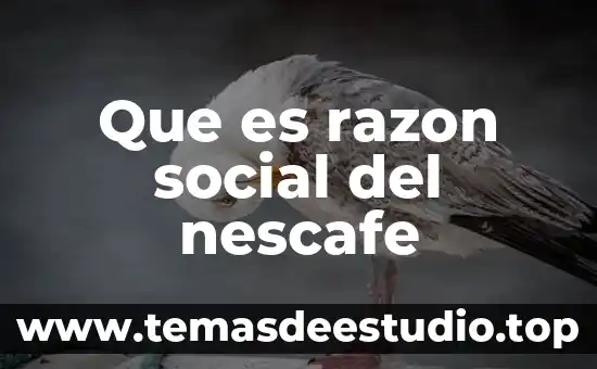 Que es movimiento social relacionado al derecho 3 Que es razon social del nescafe