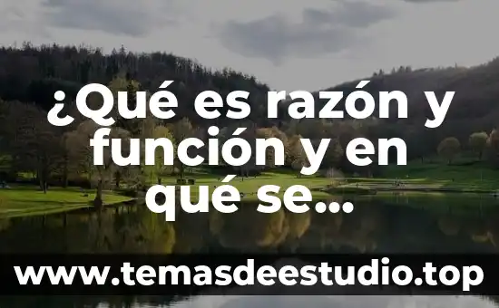 Qué es razón lógica 7 ¿Qué es razón y función y en qué se diferencian?