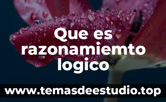Que es razonamiemto logico