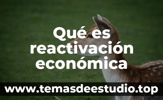 Doctrina económica que es 4 Qué es reactivación económica