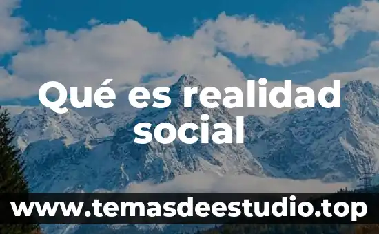 Que es la vegetacion explicacion para niños 6 Qué es realidad social