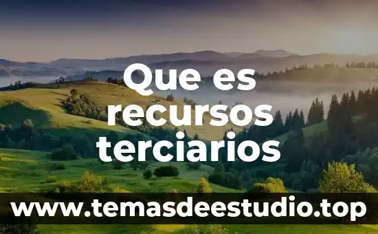 Qué es gestión de recursos humanos 3 Que es recursos terciarios