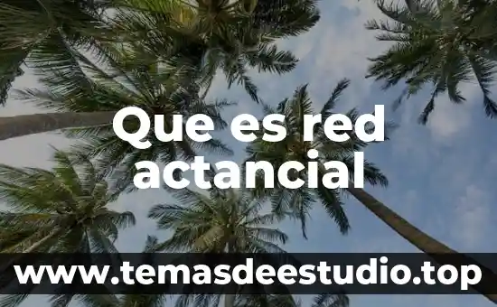 Qué es un parámetro de red 3 Que es red actancial