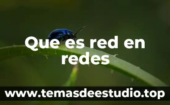 Que es red en redes