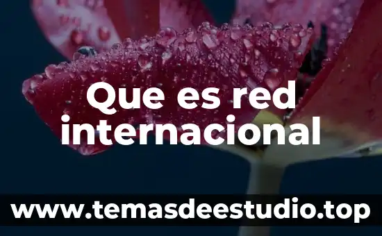 Que es un operador de red 4 Que es red internacional