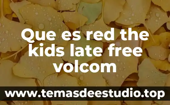 Que es un un portal en la red 3 Que es red the kids late free volcom