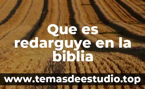 Que es redarguye en la biblia