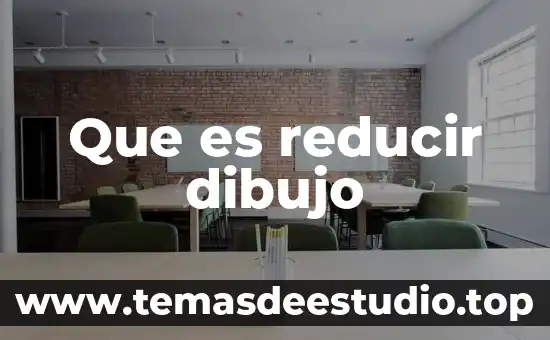 Que es una prueba inducida 8 Que es reducir dibujo