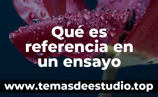Que es un ensayo de un texto 3 Qué es referencia en un ensayo