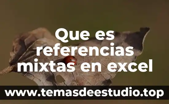 Que es referencias mixtas en excel