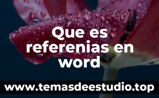 Que es contar palabras en word 3 Que es referenias en word