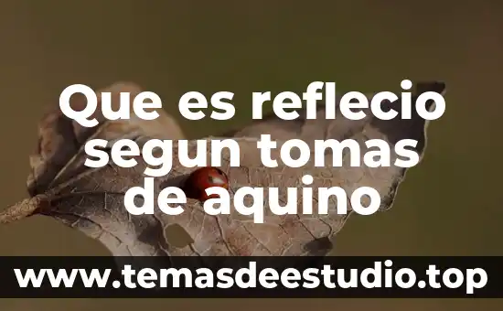 Para Santo Tomás qué es el concepto de la felicidad 4 Que es reflecio segun tomas de aquino