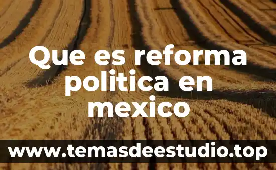 Que es una sociedad en comandita por acciones en mexico 7 Que es reforma politica en mexico