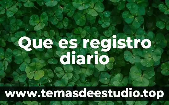 Que es un diario de doble entrada en informática 8 Que es registro diario