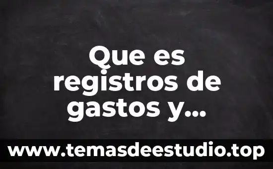 Que es una empresa de productos 3 Que es registros de gastos y productos financieros
