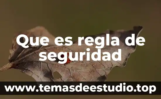 Que es seguridad del neonato 6 Que es regla de seguridad