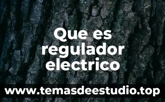 Que es regulador electrico
