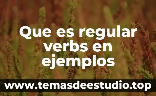 Que es un movimiento deudor en contabilidad ejemplos 5 Que es regular verbs en ejemplos