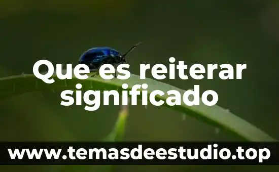 Que es excepción significado 6 Que es reiterar significado