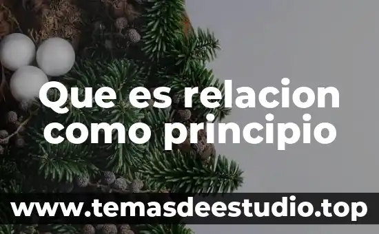 Qué es relación de inclusión ejemplos 5 Que es relacion como principio