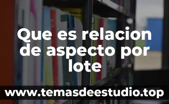 Concepto de que es lote por lote en inventarios 3 Que es relacion de aspecto por lote