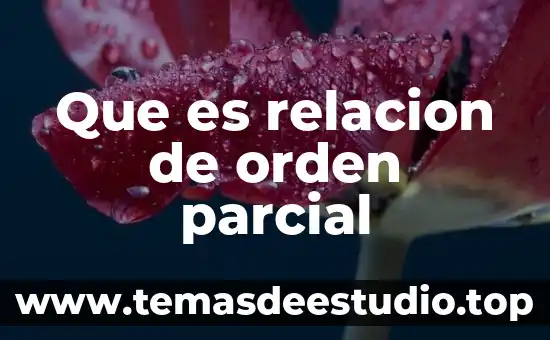 Problemas de orden filosófico en teoría del estado 4 Que es relacion de orden parcial