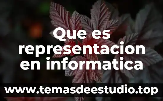 Que es un analisis de representación algebrarica 8 Que es representacion en informatica