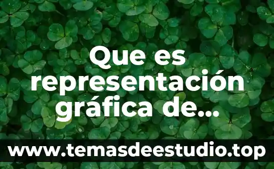 ¿Qué es JRE en informática? 7 Que es representación gráfica de variable real