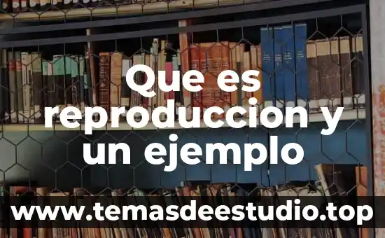 Que es la reproduccion animal significado 6 Que es reproduccion y un ejemplo