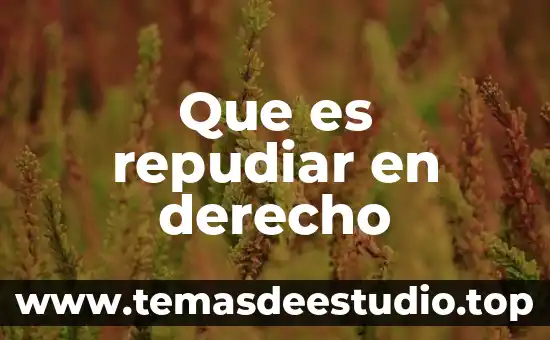 Que es derecho de un nombre y una nacionalidad 3 Que es repudiar en derecho