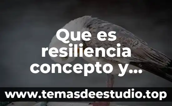 Que es resiliencia concepto y definicion