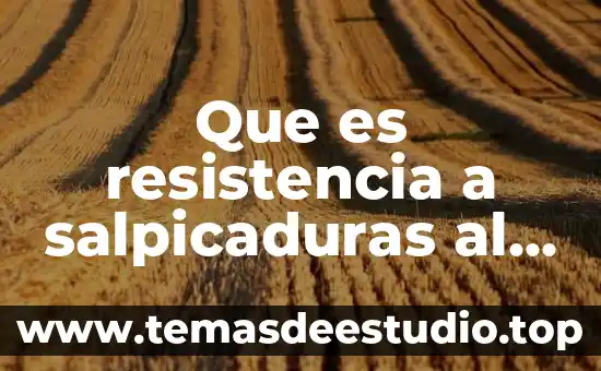 Que es una resistencia y sus valores 4 Que es resistencia a salpicaduras al agua celular