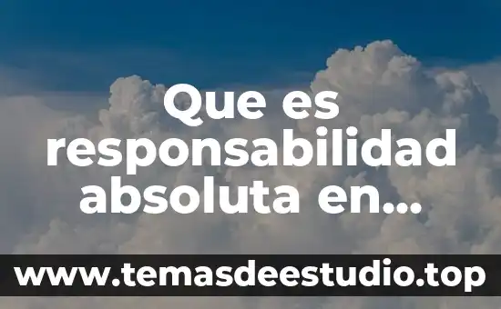 Que es responsabilidad absoluta en administracion