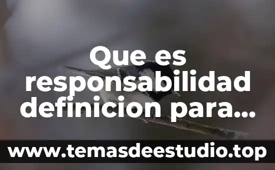Que es la drogodependencia definicion 6 Que es responsabilidad definicion para niños