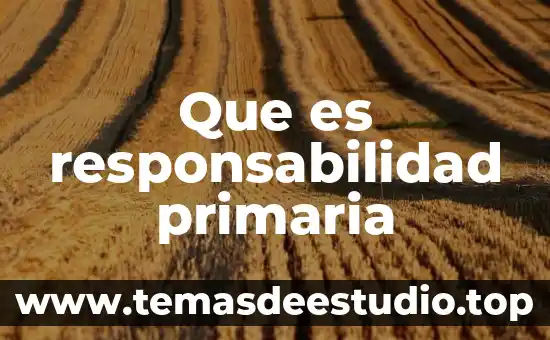 Que es responsabilidad primaria