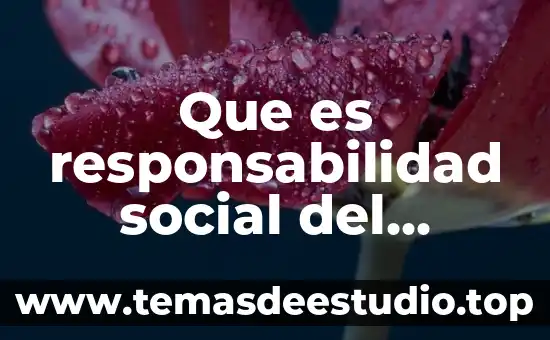 Que es responsabilidad social del docente por autor
