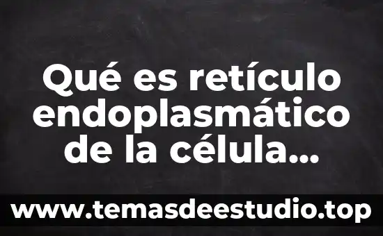 Que es la celula animal caracteristicas funcion 8 Qué es retículo endoplasmático de la célula animal