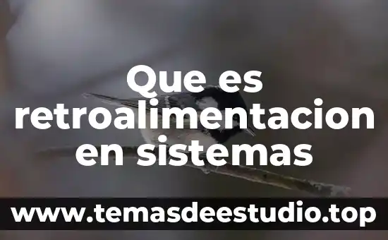 Qué es la simbología en los sistemas señaleticos 7 Que es retroalimentacion en sistemas