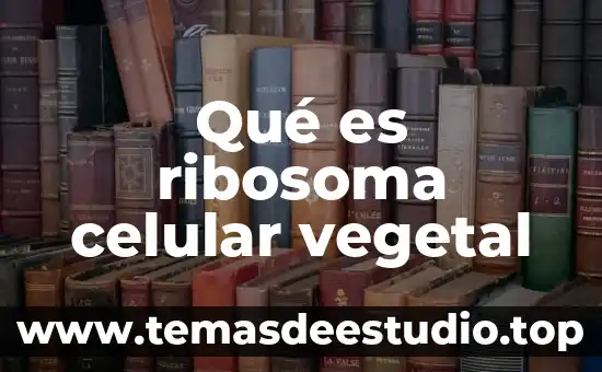 Que es la sociedad mixta en un matrimoneo 3 Qué es ribosoma celular vegetal