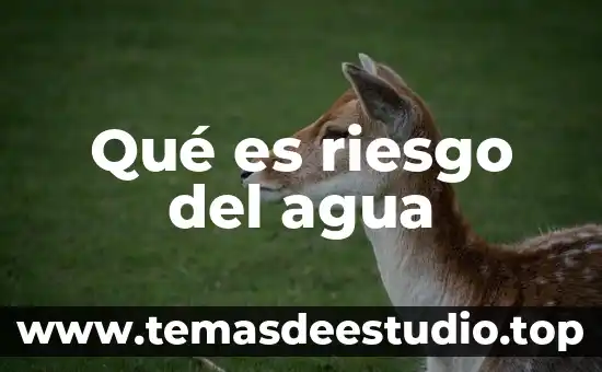 Que es riesgo pais mexico 5 Qué es riesgo del agua