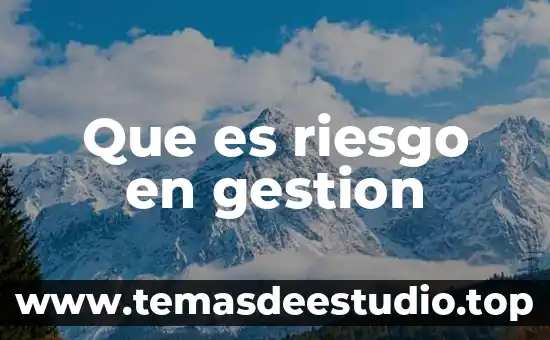 Que es riesgo en gestion