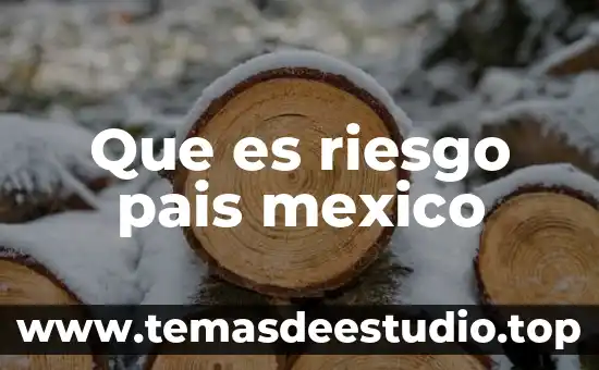 Que es un analisis de riesgo 8 Que es riesgo pais mexico