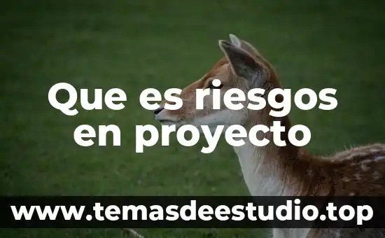 Que es proyecto de danza 4 Que es riesgos en proyecto