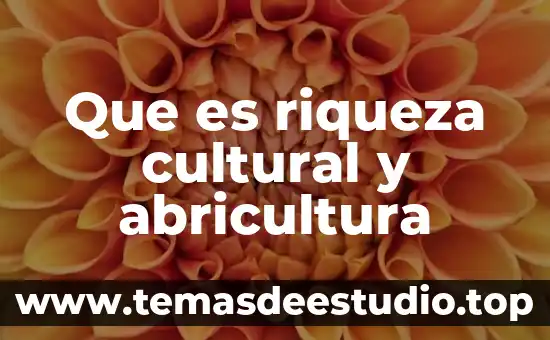 Que es riqueza cultural y abricultura