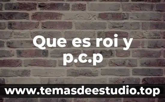 Altica que es 5 Que es roi y p.c.p