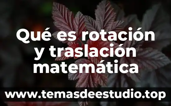 Qué es rotación y traslación matemática