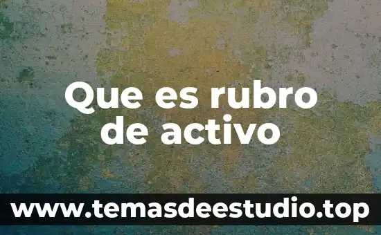 Que es rubro de efectivo 5 Que es rubro de activo